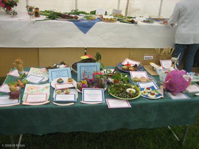 Village_Show_2008004-2